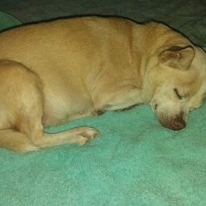 Meet your Posher, Elaine